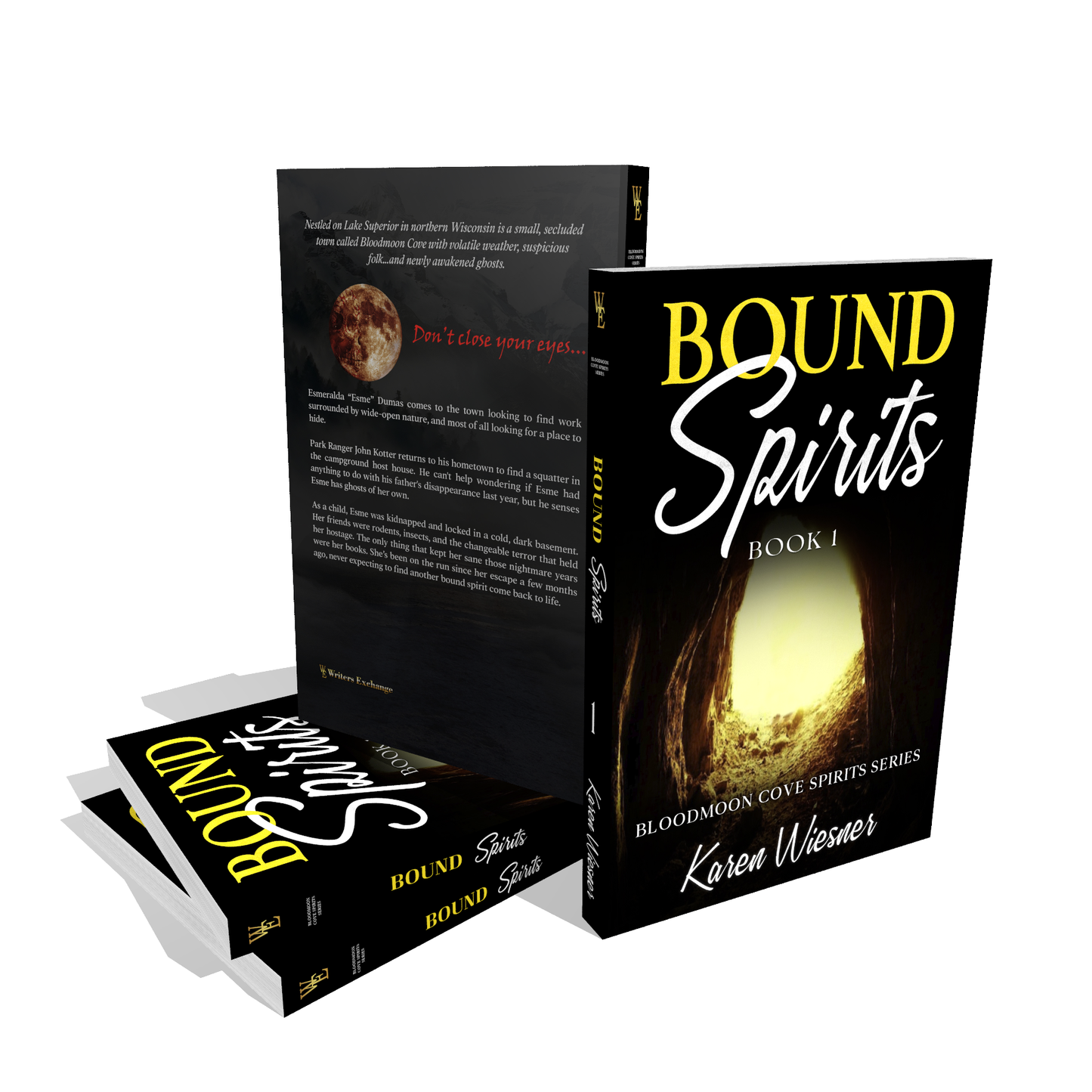 Bloodmoon Cove Spirits Series, Book 1: Bound Spirits by Karen Wiesner