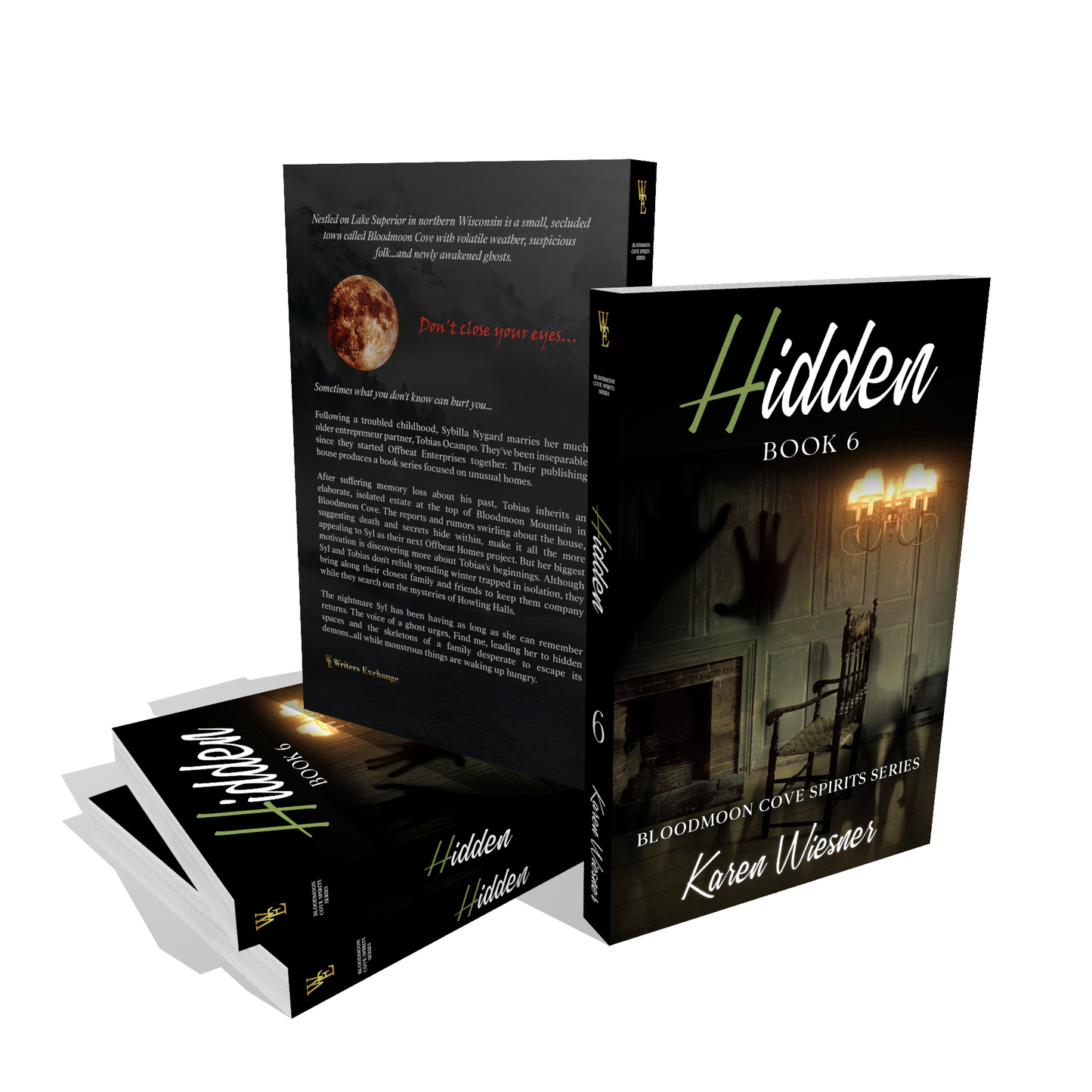 Bloodmoon Cove Spirits Series, Book 6: Hidden by Karen Wiesner