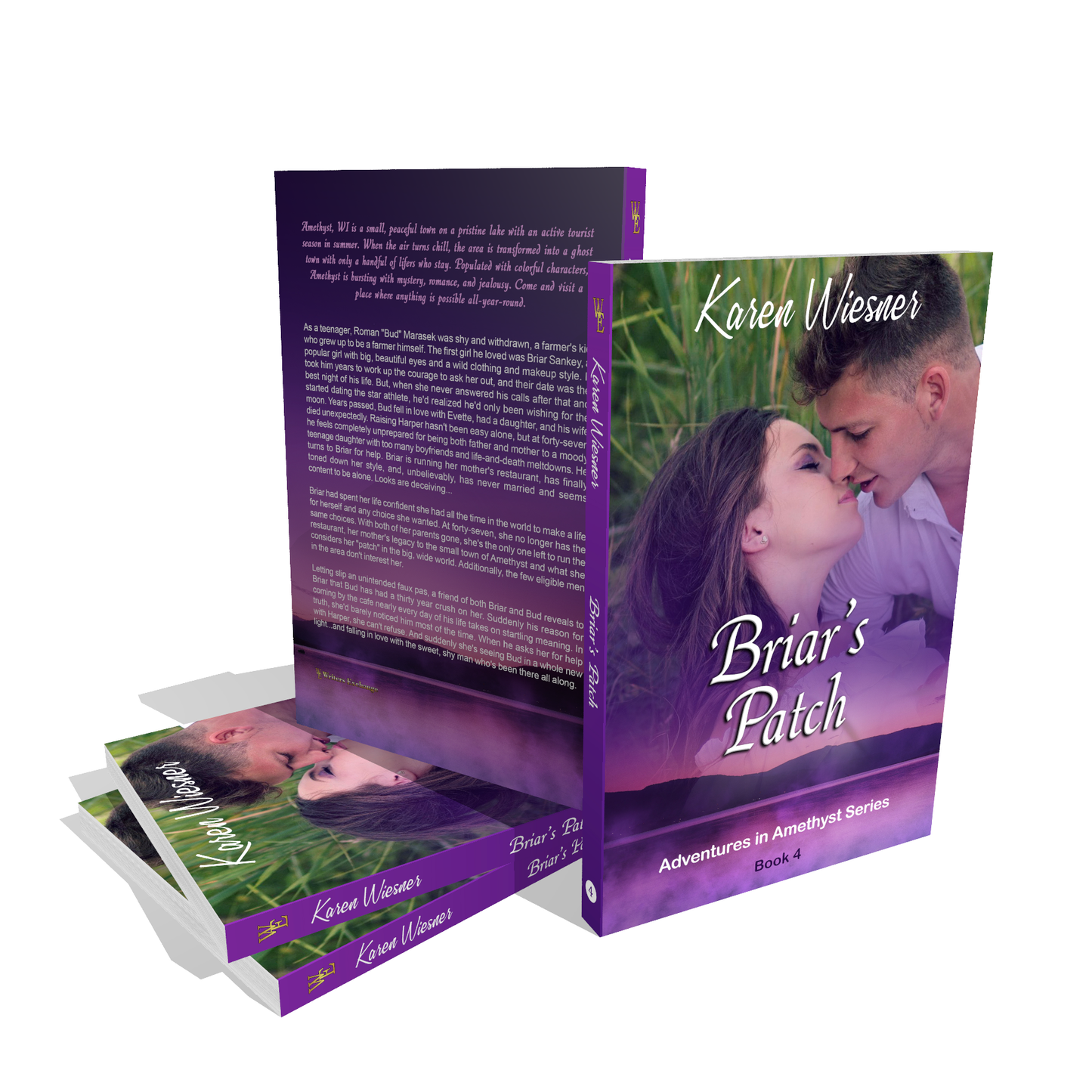 Adventures in Amethyst Series, Book 4: Briar's Patch by Karen Wiesner