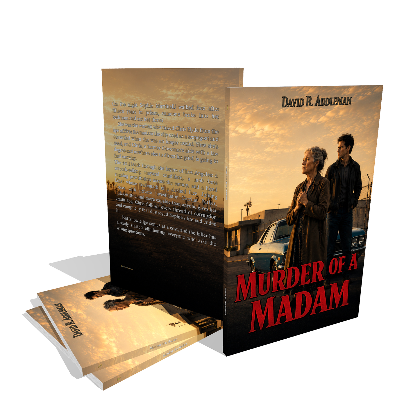 Murder of a Madam by David R. Addleman