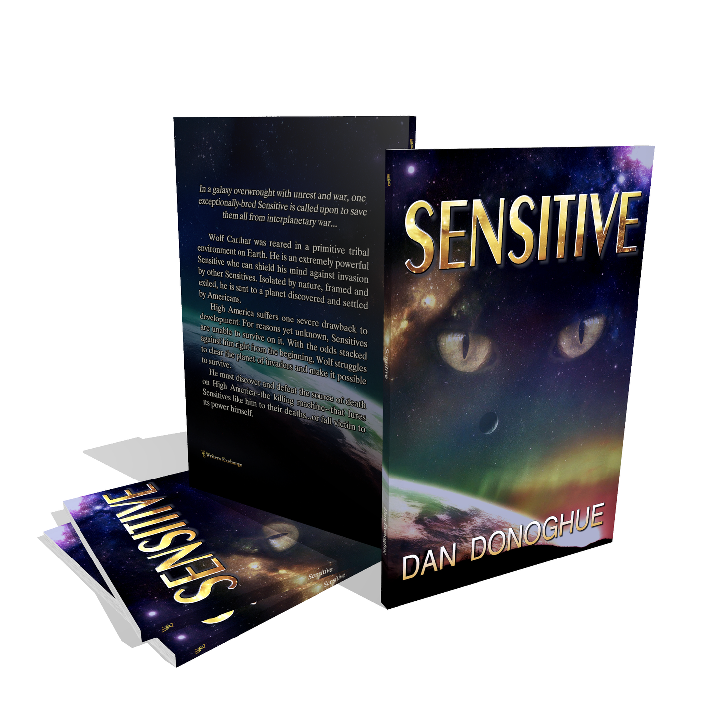 Sensitive by Dan Donoghue