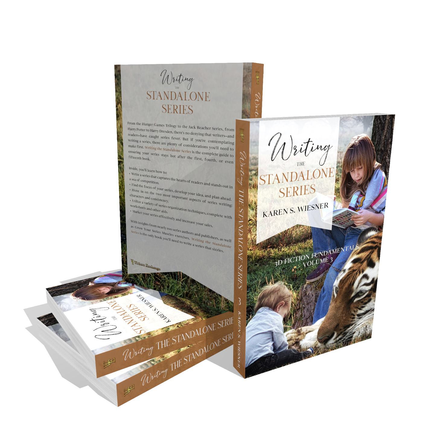 3D Fiction Fundamentals Collection, Volume 3: Writing the Standalone Series by Karen Wiesner