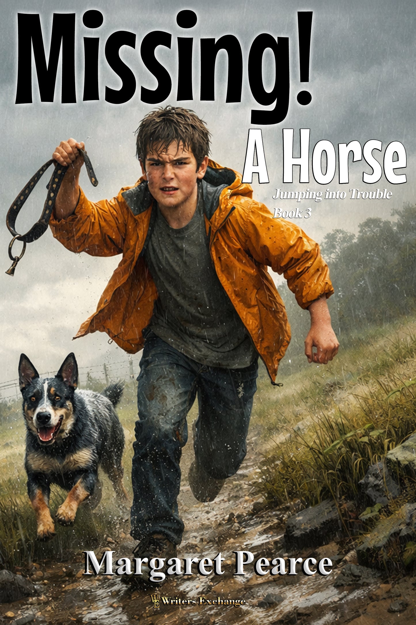 Jumping into Trouble Series Book 3: Missing! A Horse by Margaret Pearce