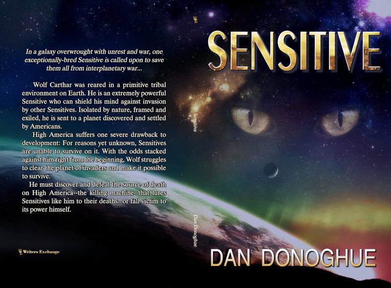 Sensitive by Dan Donoghue