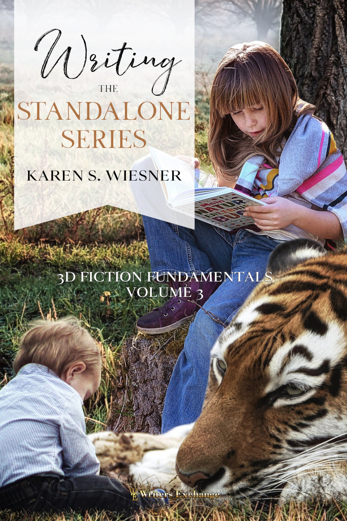 3D Fiction Fundamentals Collection, Volume 3: Writing the Standalone Series by Karen Wiesner